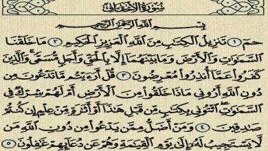فضل سورة الأحقاف