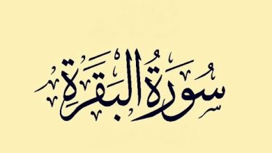 فضل سورة البقرة