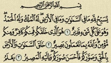 فضل سورة التغابن