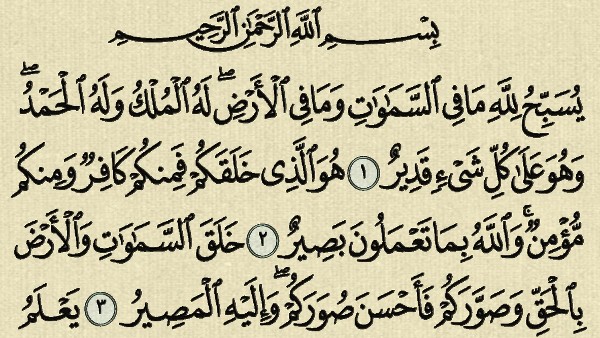 فضل سورة التغابن