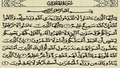 فضل سورة الحجرات