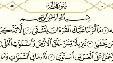 فضل سورة طه