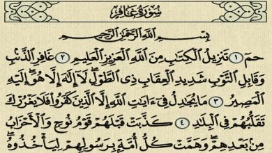  فضل سورة غافر