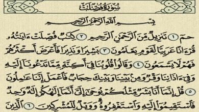 فضل سورة فصلت