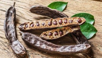 فوائد الخروب وكيفية استعماله