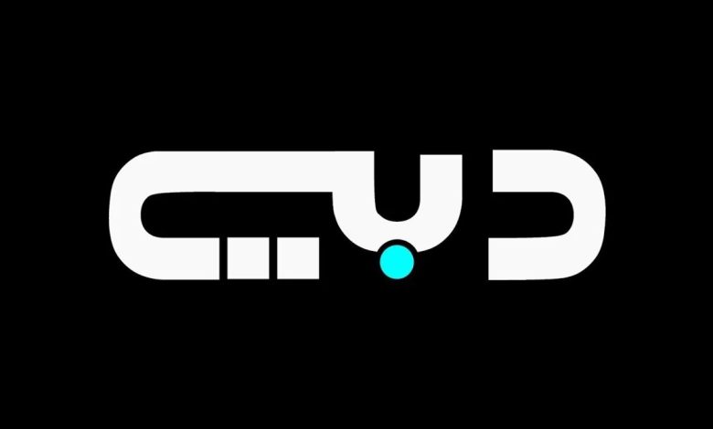 قناة دبي الفضائية