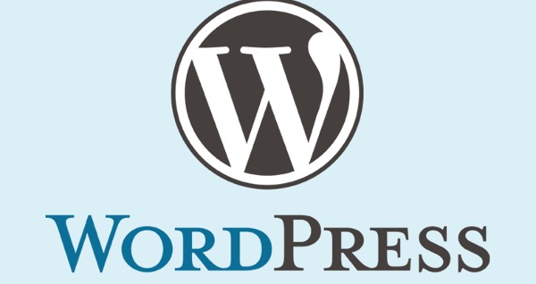 قوالب ووردبريس احترافية مجانا