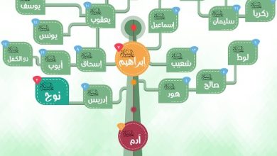 كم عدد الانبياء