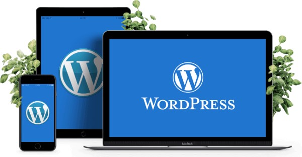 كيفية إنشاء موقع WordPress مجاني ؟