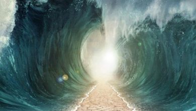 معجزات سيدنا موسى