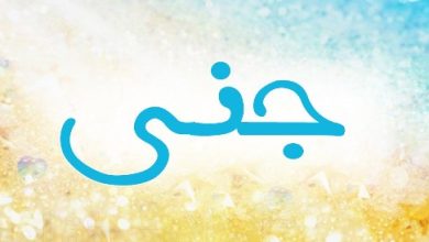 معنى اسم جنى