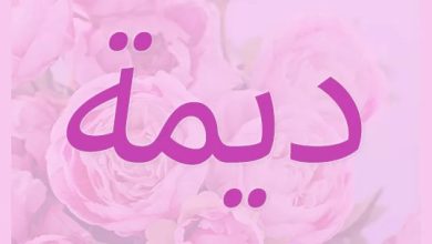 معنى اسم ديمة
