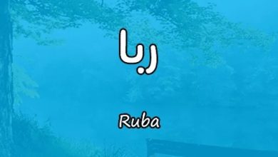 معنى اسم ربا