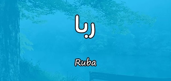 معنى اسم ربا