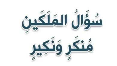 من هم منكر ونكير