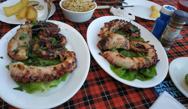 أفضل 10 مطاعم عربية في قبرص