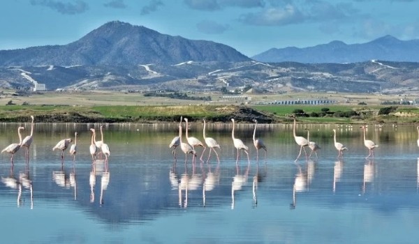 أجمل الأماكن السياحية في قبرص