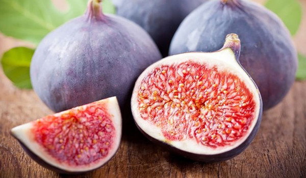 خضر بحرف التاء