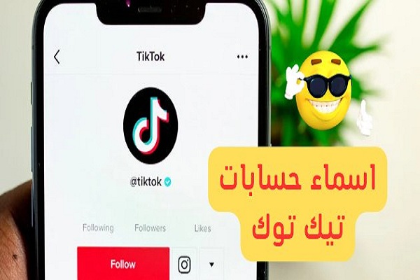 اسماء حسابات تيك توك جديدة