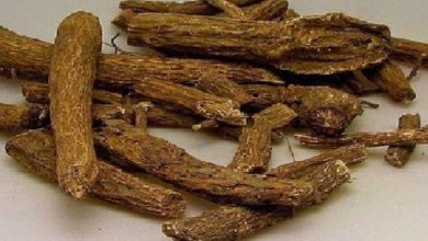 فوائد القسط الهندي