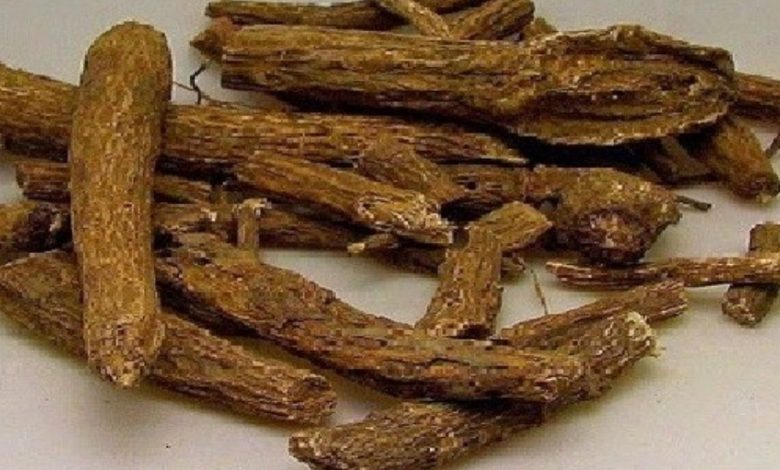 فوائد القسط الهندي