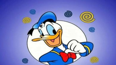 تردد قناة بطوط