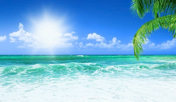 عبارات قصيرة عن البحر