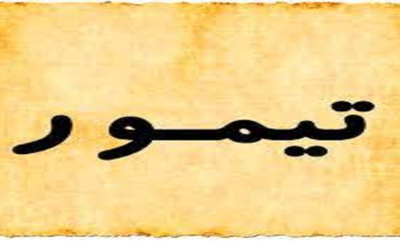 معنى اسم تيمور