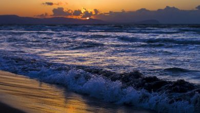 عبارات قصيرة عن البحر