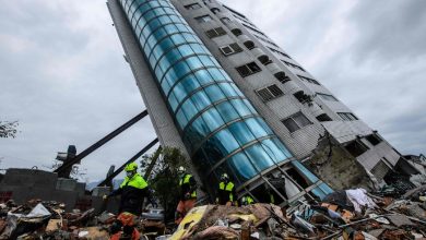 الحيوان الذي يشعر بالزلزال قبل حدوثه