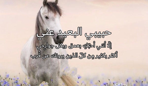 رسائل اشتياق للحبيب المسافر