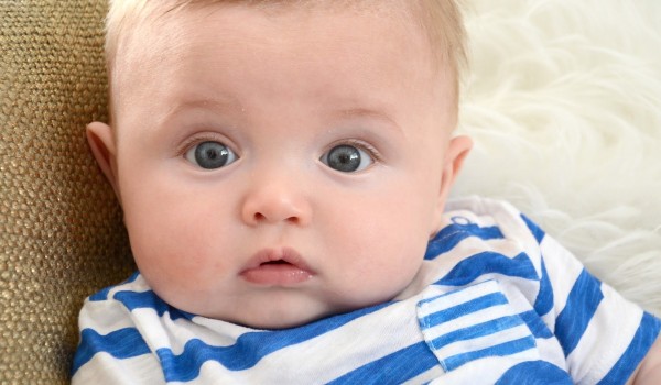 معنى اسم نوفل