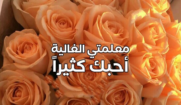 رسالة حب قصيرة إلى معلمتي