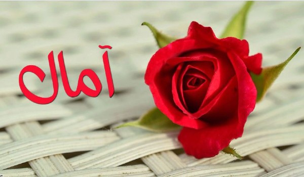 معنى اسم آمال