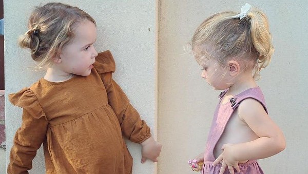 معنى اسم ايملي وصفاته