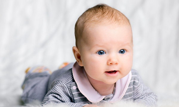 معنى اسم نمير