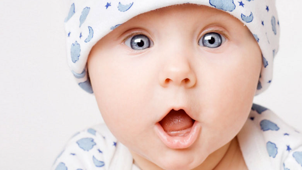 معنى اسم نمير