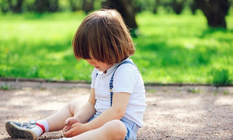 معنى اسم شاهين