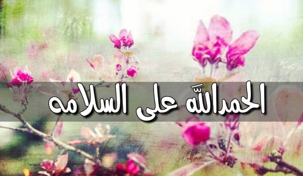 العودة من السفر