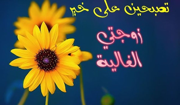 كيف تقول لحبيبتك تصبحين على خير