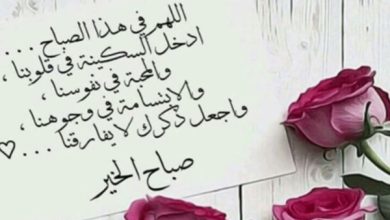 عبارات صباحية للحبيب