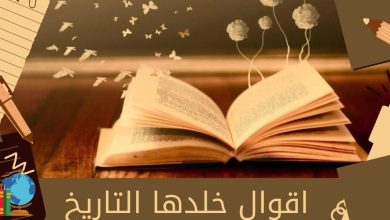أقوال خلدها التاريخ عن النجاح