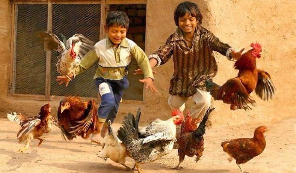 أقوال عن البساطة