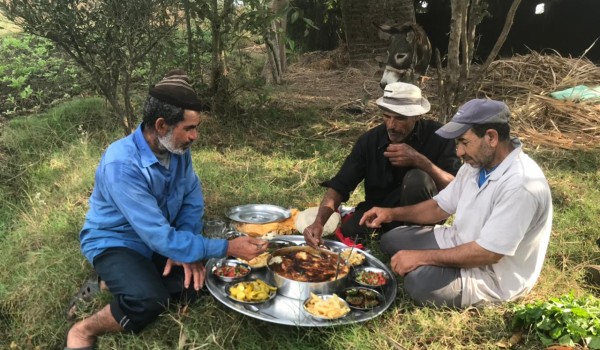 أقوال عن البساطة