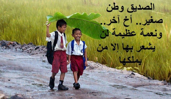 كلام جميل وعبارات عن الصداقة