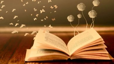اجمل ما قيل عن حب القراءة؟