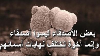 اجمل ما قيل عن الأصدقاء الأوفياء