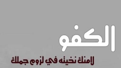 اجمل ما قيل عن الصاحب الكفو