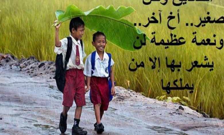 اجمل ما قيل في الصديق عبارات قصيره