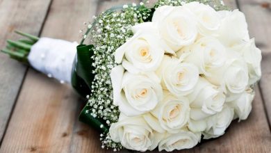 اجمل ما قيل في جمال الورد